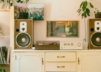 Best Budget Speakers for Turntable