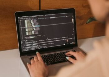 Streamlit Echo Standard Error as Output