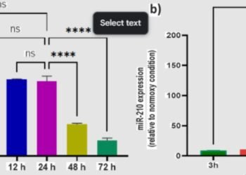 High Capacity cDNA Reverse Transcription Kit