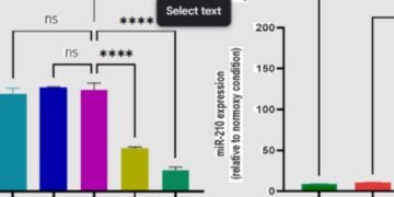 High Capacity cDNA Reverse Transcription Kit